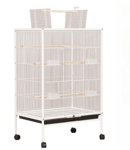 yWoxiroz P[W   gJS ^ x LX^[t ȒPɈړł ȒP CR IJ ZLZC {^  Ɨp pr(A-X^_[h,zCg)