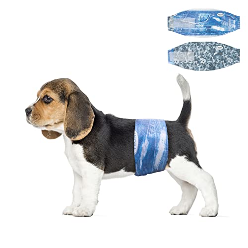 Image of Dono Dog Diapers Male Disposable Male Dog Wraps, Wider Doggie Puppy Diapers Male Belly Bands, Super Absorbent, Leak-Proof Fit, Excitable Urination, Incontinence, X-Small 48ct