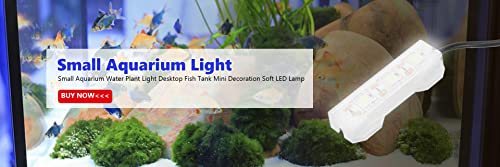 Small Aquarium Light, Usb Desktop Fish Planted Tank Lights Water Plant Mini Decoration Soft Submersible Led Lamp Underwater Full Spectrum Used For Freshwater Saltwater Micro Landscape Daily Lighting #TOP6