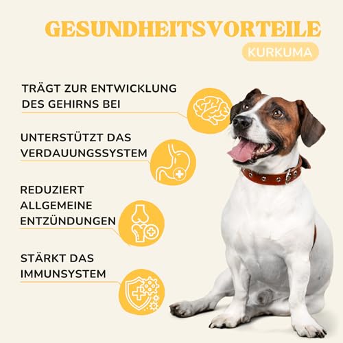 lamina care - Gelenk-Supplement für Hunde und Katzen – Kapseln mit Kurkuma & Piperin – Unterstützt Beweglichkeit, Gelenkfunktion & antioxidativen Schutz – 60 Kapseln