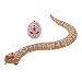 CloverGorge Simulation d'animaux Sauvages encerclant Jouet de Serpent télécommande modèle de Serpent Sauvage amphibien Reptile Jouet délicat