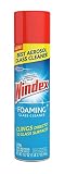 Windex Foam Clnr 19.7oz