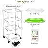 4 Layers Sprout Trays with Extra Strength Plastic Shelf Soil-Free Healthy Wheatgrass Seeds Grower & Storage Trays for Garden Home Office #2