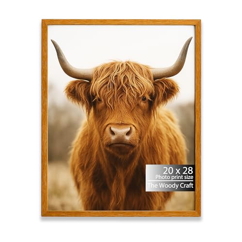 Image of 20x28 Photo Frame | Orange Frame For Wall | Smart Wall Frame | Wooden Photo Frames Crafted For Style | Elegant Big Photo Frames For Wall | Ideal Photo Frame For Birthday Gift