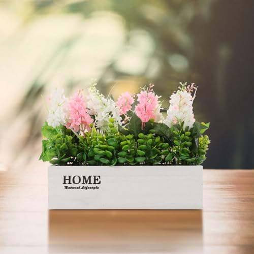 Plantes décoratives d'intérieur jacinthe rose blanc sans entretien avec pot