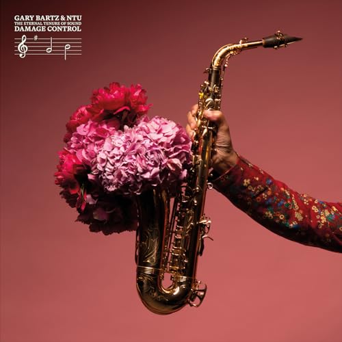 Gary Bartz Ntu Troop