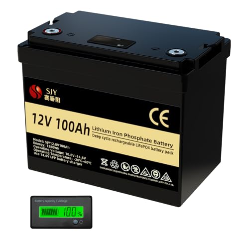 Saijiaoyang Mini batería Lifepo4 de ciclo profundo de 12 V 100 Ah para RV, solar, camping, cabina, sistema marino y...