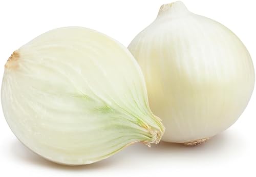 Miniatura 4 de Semillas de cebolla granada blanca (Allium cepa) – Más de 500 semillas de día corto sin OMG de Isla's Garden Seeds, bulbos suaves dulces para
