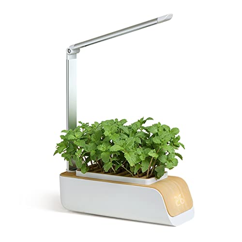 Kit hydroponique intelligent intérieur pot de culture LED sans sol