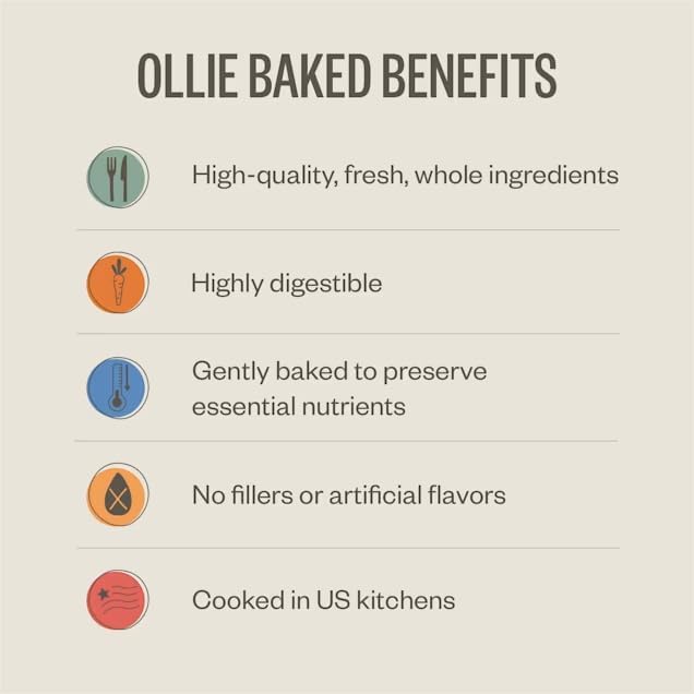 Ollie Baked Turkey Dish with Butternut Squash Dog Food, 5 lbs.