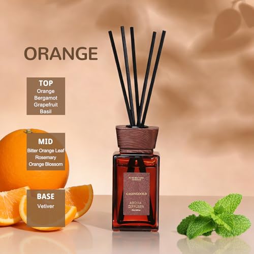 Zitrusreed Diffuser Set 5.2oz Duft Diffuser mit 10 Stäbchen – Bild 2