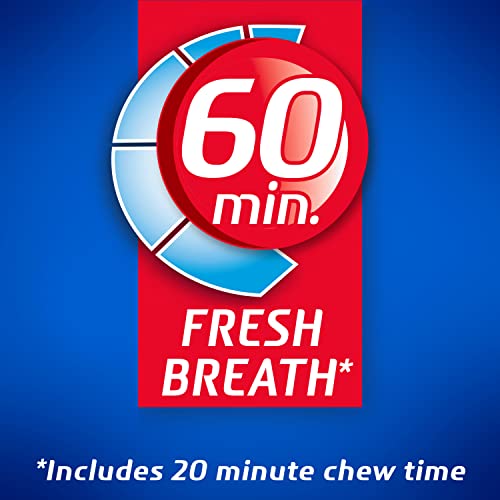 Dentyne Ice Peppermint Sugar-Free Chewing Gum, 9 Packs of 16 Pieces (144 Total Pieces)