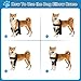 QVEEQ Dog Elbow Protector, Dog Elbow Brace Front Leg for Elastic Relief of Effusion Tumors, Calluses, Edema, Dysplasia, Pressure Sores,and Promote Wound Healing (Double Legs, Adjustable)