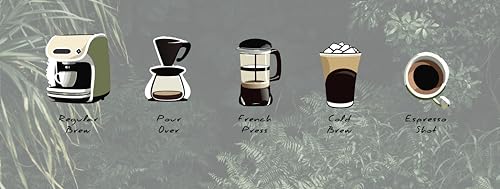 Café en grano Coalition Coffee Roasters 5 lb Tostado Medio miniatura 2