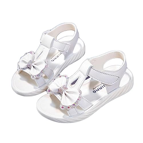 [krcyv] hXV[Y vZX LbYT_ ̎q  20.5cm tH[} ѕt  킢 \  tH[}V[Y y RtH[g tbgT_ }WbNe[v ₷ ᔽ ~ _炩