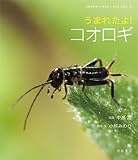 うまれたよ!コオロギ (よみきかせいきものしゃしんえほん 17)