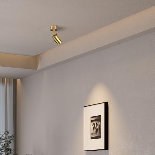 Image of Aisilan Solid Copper Surface Mounted Angle Adjustable LED Spot Light Golden Anti Glare Accent Lamp COB Ceiling Spotlight Warm White 7W for Hallway Kitchen Living Room