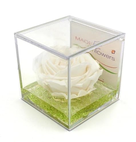 Rosa Bianca, Fiore Vero, Profumata, Stabilizzata, Eterna, Idea Regalo, San Valentino, Donna, Natale, Festa, Mamma, Moglie, Fidanzata, Anniversario, Cresima, Cerimonia, Cubotto 8x8cm, Elegante, Interno