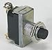 Miniature Push Button Switch, 16A @ 125V