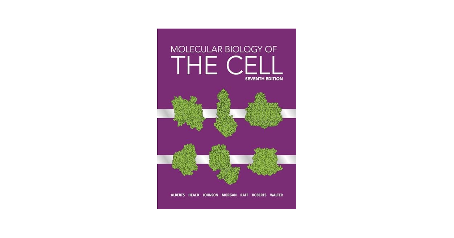 Amazon.com: Molecular Biology of the Cell: 9780393884845