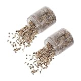 FUNOMOCYA 2 Cajas Concha Llena De Epoxi Decoración De Relleno De Epoxi Rosario Mini Conchas Artesanales Naturales Adorno Marino Decoraciones Naturales para Peceras Concha Natural y Concha