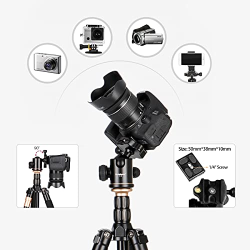 koolehaoda Profeshional Tragbare Aluminiuml Kamera Stativ Einbeinstativ & Kugelkopf SLR-Kamera KQ-666 – Bild 7