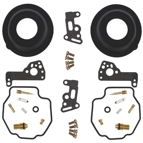 Kit réparation carburateur Virago 535 pour restaurer votre moto avant un road trip XV500