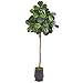Nearly Natural 80? Fiddle Leaf Fig Artificial Ribbed Metal Planter Silk Trees Green