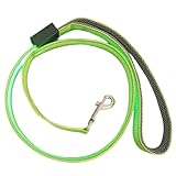 Sacolin Pet Walking LED Glow Leash, 47.2 in / 120 cm USB Rechargeable Dog Leash with Light Up Design, Sturdy 1 in / 2.5 cm Polyester Webbing, Metal Clip for Security