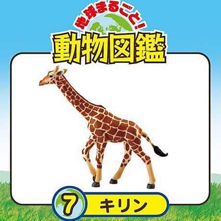 地球まるごと！動物図鑑 ようこそ！ワイルドアフリカへ　8個入り リーメント Amazon.co.jp: リーメント 地球まるごと 動物図鑑 ようこそ