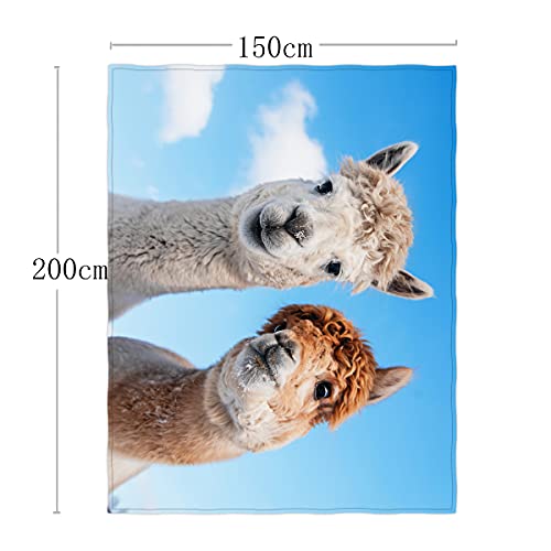 Two Alpacas Printing Super Soft Throw Blanket For Bed Sofa Lightweight Blanket 58 X 80 Inch #TOP1