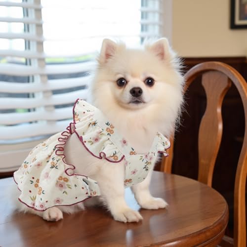 Image of CuteBone Cotton Dog Dress Flowers with Leash Ring & Sleeve Ruffles, Soft & Breathable, Stylish Pet Clothes Outfit for Small Dogs, Comfortable & Easy to Wear CFX03S
