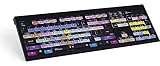LogicKeyboard Backlit American English PC keyboard compatible with Presonus Studio One 3 # LKBU-PSO3-APBH-US
