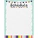 Teacher Created Resources Oh Happy Day Schedule Write-on/Wipe-Off Chart, 17