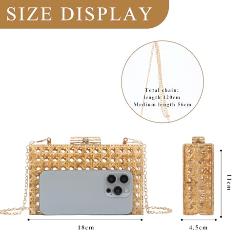 GOKTOW Rattan Acrylic Bag Clutch Purse Evening Bag Woven Handbag Summer Beach Purse2