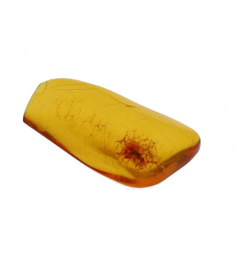 Amazon | GALLERY megumi 鑑別書付き 天然 虫入り琥珀 ルース 4.316ct