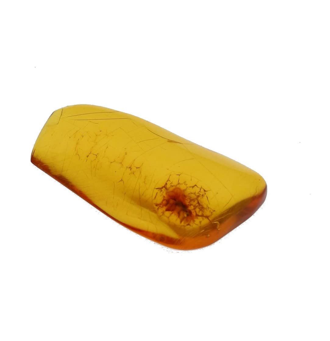 こはくページ YFA194N フラグメントケース ｜美しい色彩の革財布、革製品通販