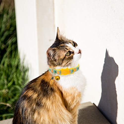 cat feeding tube collar