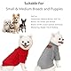 2 Stück/3 Stück Fleece Hundepullover für kleine Hunde, weicher Warmer Rollkragen Hunde Sweater Mantel, Haustier Welpe Katze Winterbekleidung (A-Grau Rot, M)