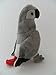 Peluche Perroquet Gris 20 cm