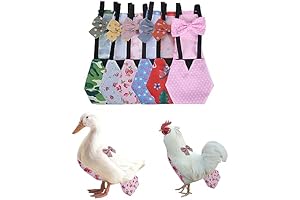 Silkie Chicken Diapers: The Perfect Protection for Your Pet Poultry