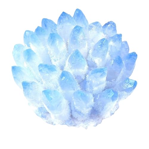 BTMDECOR VRNX^NX^[ NANH[c ~lNX^NX^[ q[OI[ig F  z[fR[V, One Size, mE