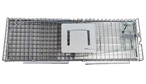 Animal Trap (32"X10"X12") - Best Humane Animal Trap For Gophers, Racoons, Possums, Groundhogs, Beavers And Other Similar Sized Animals. Easy Trap Catch & Release Cage With 1-Door By Lifesupplyusa #TOP7