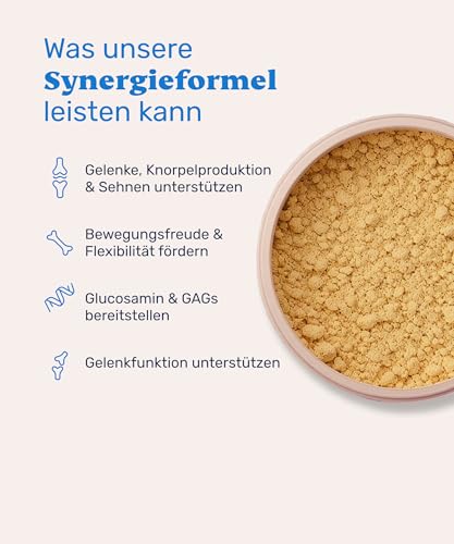 mammaly Grünlippmuschelpulver + MSM Gelenke für Hunde (reicht ≈60 Tage) – Ansicht 2