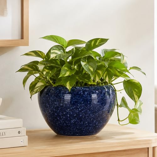 Pot de fleurs en céramique violet pour protéger les succulentes du dessèchement - 2