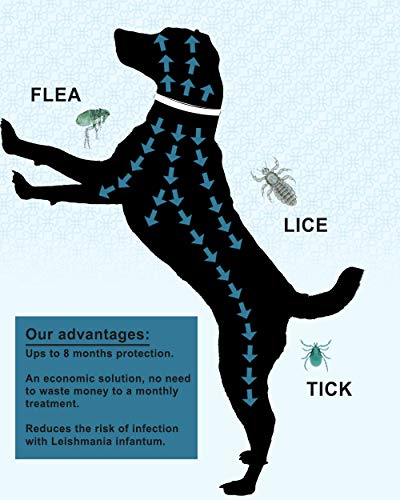 prowithlin Collar Antiparasitario para Perros, 62cm Natural Collar Anti-pulgas Ajustable 8 Meses de Prevención Talla Unica para Todos 4 AJUSTABLE: Nuestro Collar Antiparasitario para Perros está diseñado para 63 cm de longitud, por lo tanto, se adapta a perros de todos los tamaños y edades. Si el collar antipulgas es demasiado largo, córtelo demasiado y manténgalo en la casa del perro para obtener protección adicional.
PREVENCIÓN DE BOLETOS DE 8 MESES: El Collar Antiparasitario Prowithlin es un medicamento eficaz para repeler las garrapatas por hasta 8 meses. Los ingredientes activos funcionarán mejor durante este período. Posteriormente, se debe reemplazar por otra protección máxima.
SEGURO, ECOLÓGICO: Gracias a la composición natural, los collares Prowithlin son absolutamente inofensivos para la salud de su perro. No contiene productos químicos tóxicos que causan alergias a su mascota.