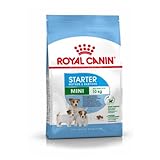 ROYAL CANIN Hundefutter Mini Starter 3 kg, 1er Pack (1 x 3 kg)