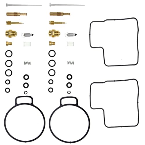 Kit reconstruction carburateur pour réparer fuite essence GL1500SE
