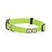 Pawtitas Reflective Dog Collar with Stitching Reflective Thread | Reflective Dog Collar with Buckle Adjustable and Better Training Great Collar for Medium Dogs - Green Collar