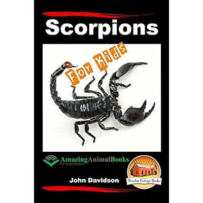 Scorpions For Kids - Amazing Animal Books For Young Readers